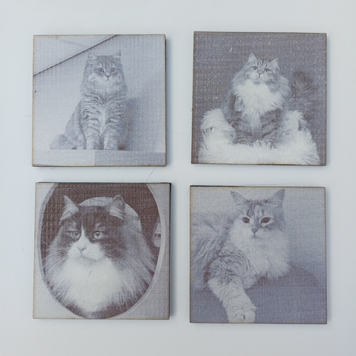 Foto-onderzetter-laser-gegraveerd